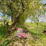 Cozy Near Lillebaelt 别墅 *
